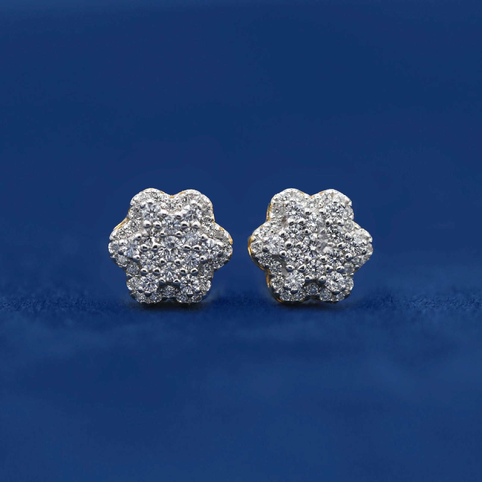 Two Layer Flower Set Stud Earrings
