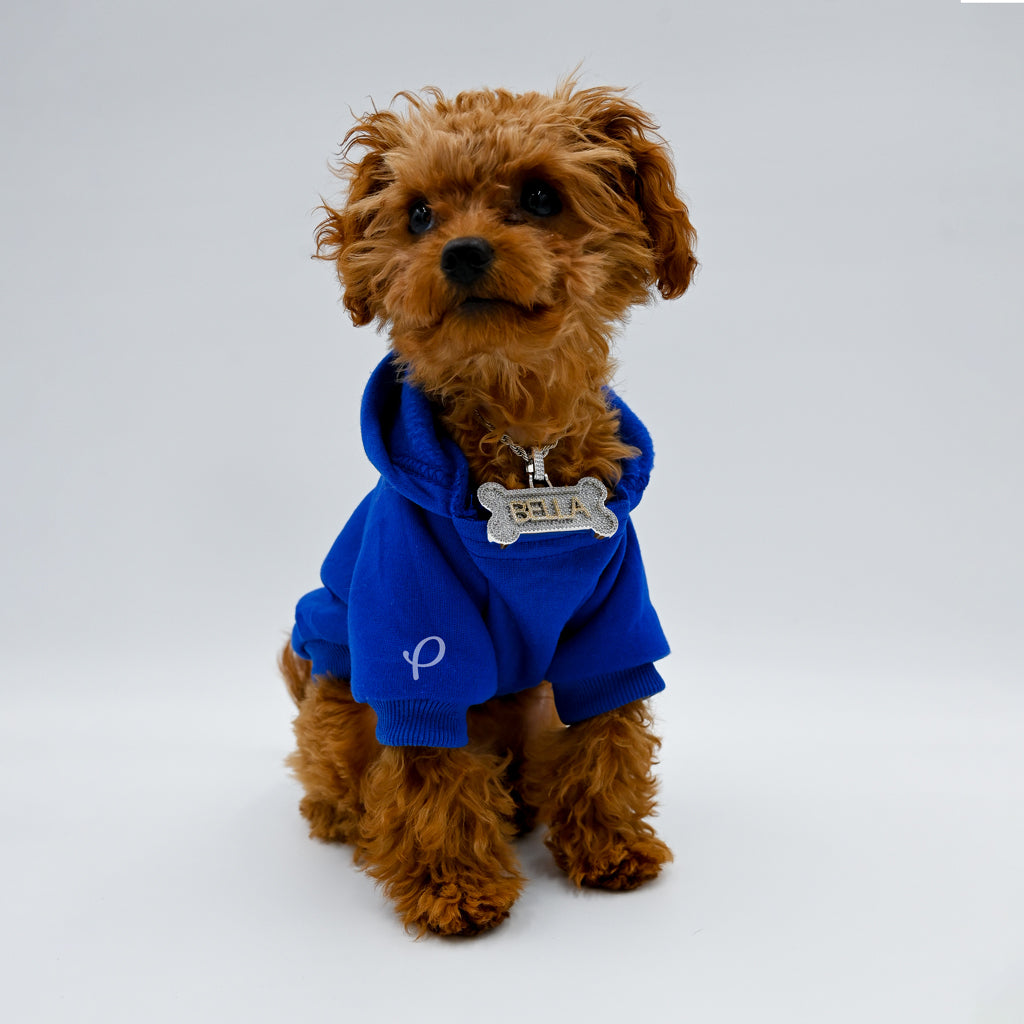 Gold Presidents Pendant Custom Dog Name Tags