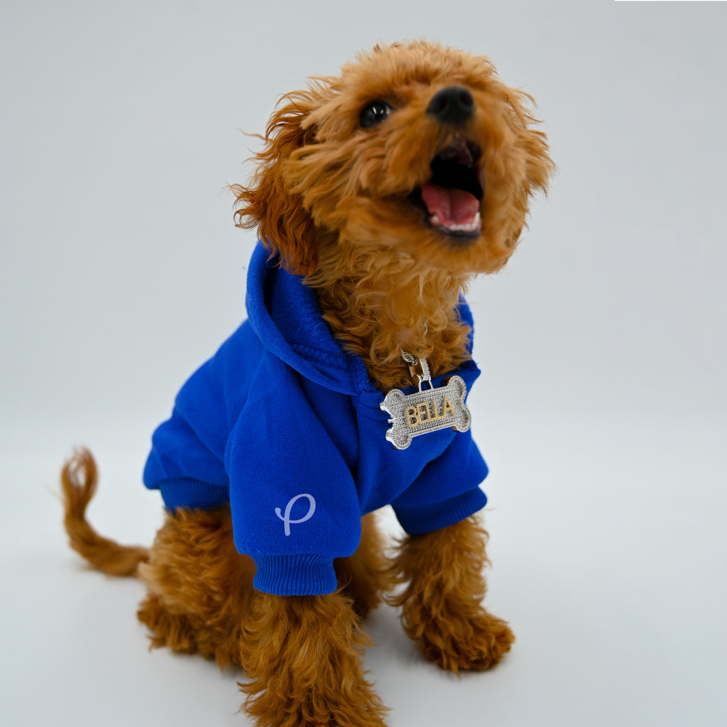 Gold Presidents Pendant Custom Dog Name Tags